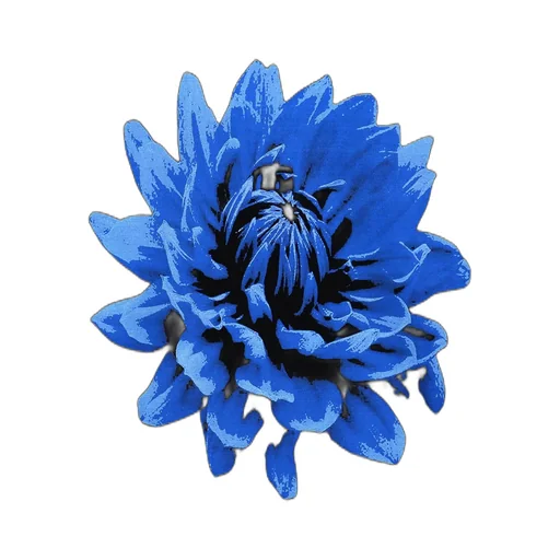 Wildside × Chivas Regal Blue Flower T-Shirt