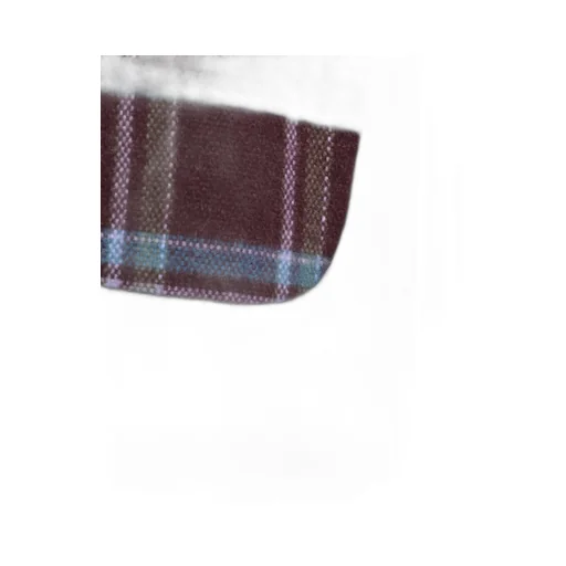 Wildside × God’S True Cashmere Cashmere Check Shirt