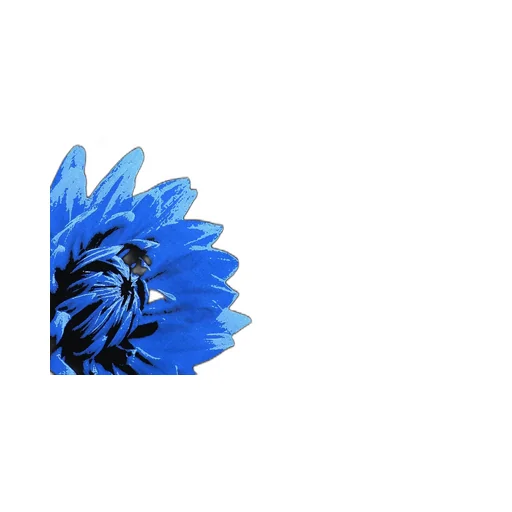 Wildside × Chivas Regal Blue Flower T-Shirt