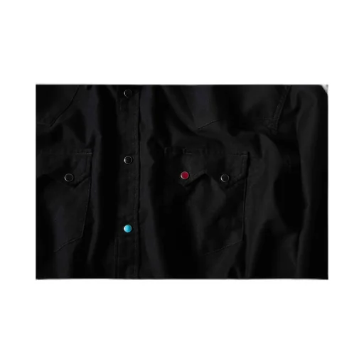 Wildside × Hollywood Ranch Market Western Shirts Jacket