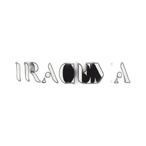 Wildside × Iracema Insects Line Hoodie