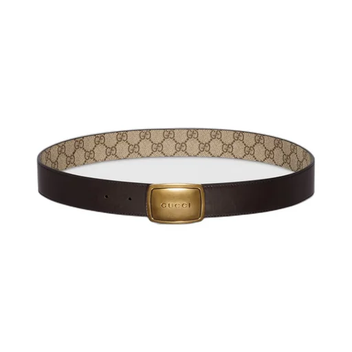 Belt With Plaque Buckle