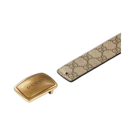 Belt With Plaque Buckle