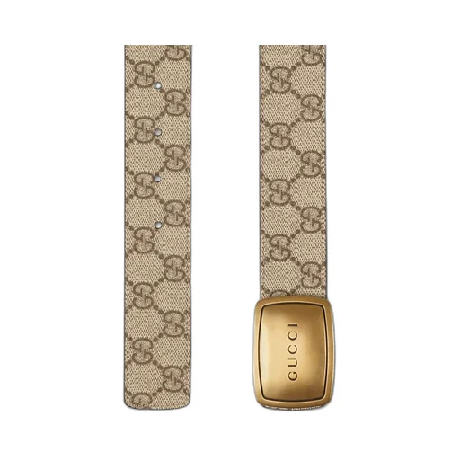 Belt With Plaque Buckle