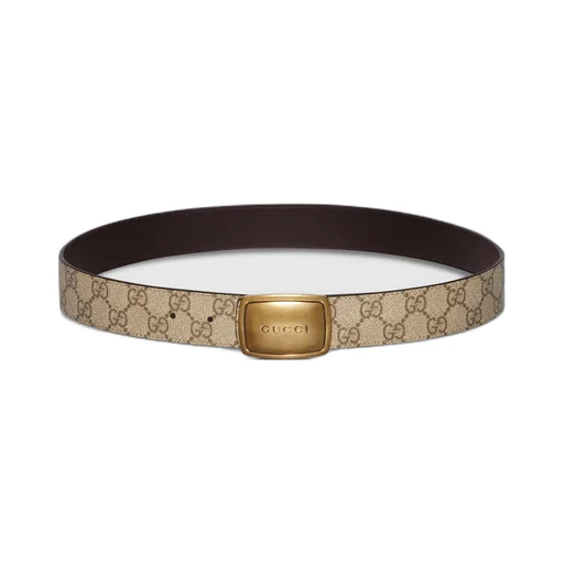 Belt With Plaque Buckle