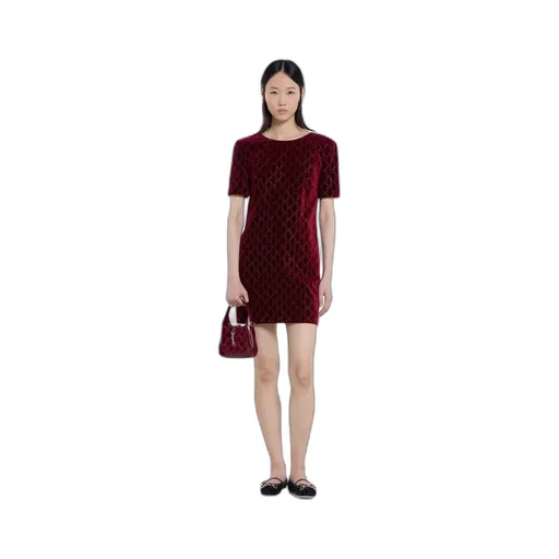 Embroidered Cotton Velvet Dress