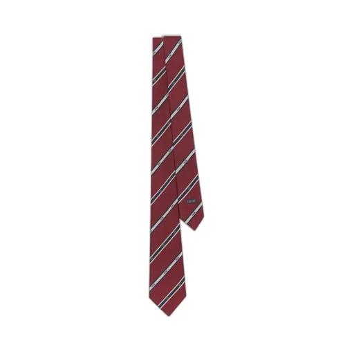 Dior Club Tie