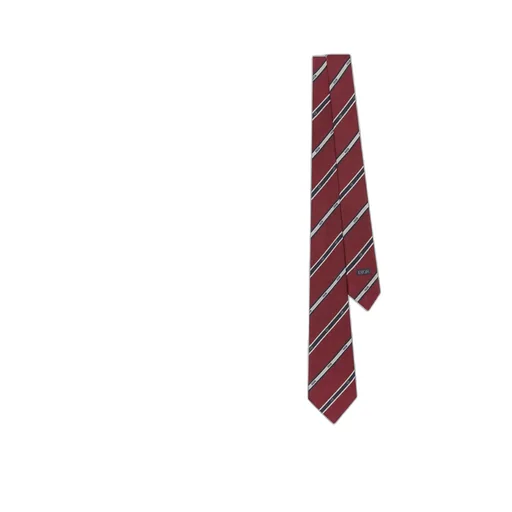 Dior Club Tie
