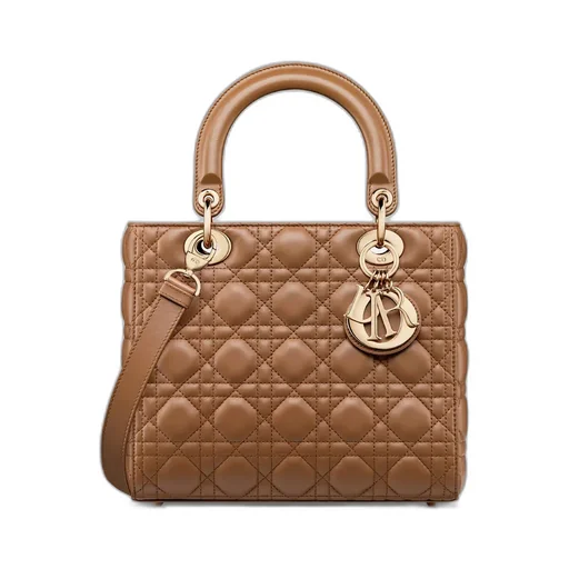 Medium Lady Dior Bag