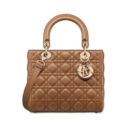 Medium Lady Dior Bag