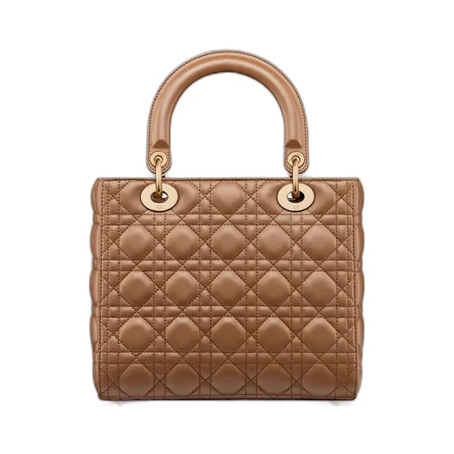 Medium Lady Dior Bag