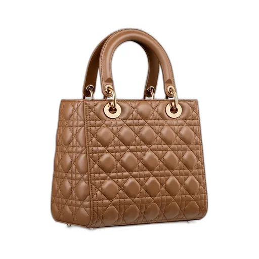 Medium Lady Dior Bag