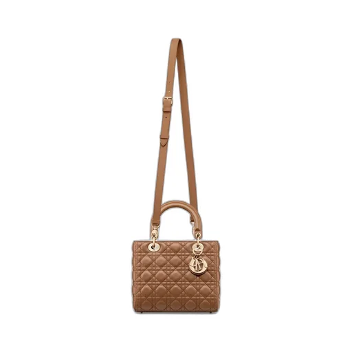 Medium Lady Dior Bag