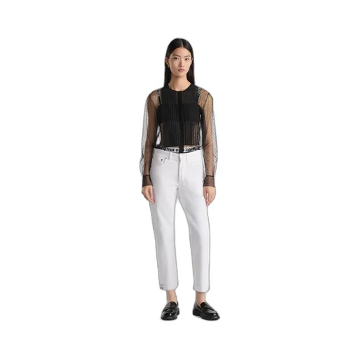 Sheer Blouse With Plastron