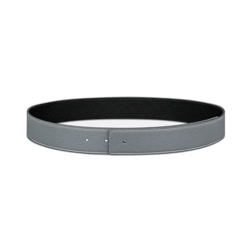 Reversible Belt Strap