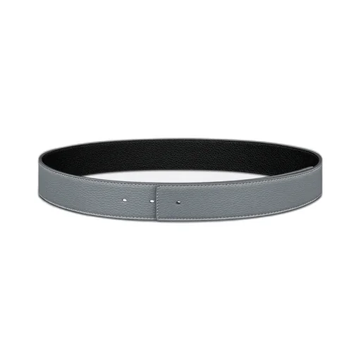 Reversible Belt Strap