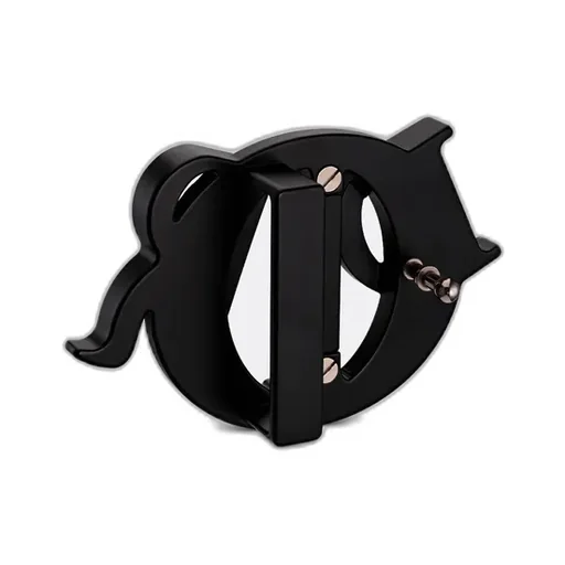 Dior Charm Belt Buckle