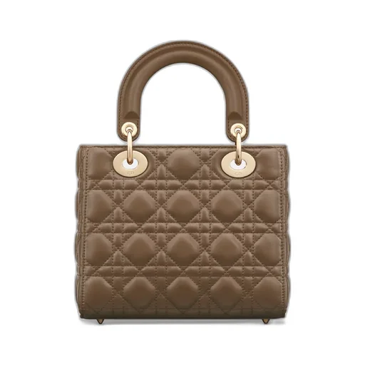 Small Lady Dior My Abcdior Bag
