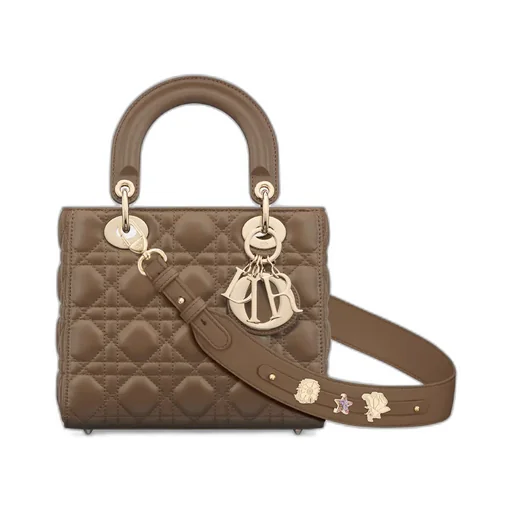 Small Lady Dior My Abcdior Bag