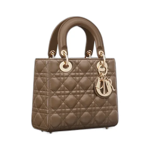 Small Lady Dior My Abcdior Bag