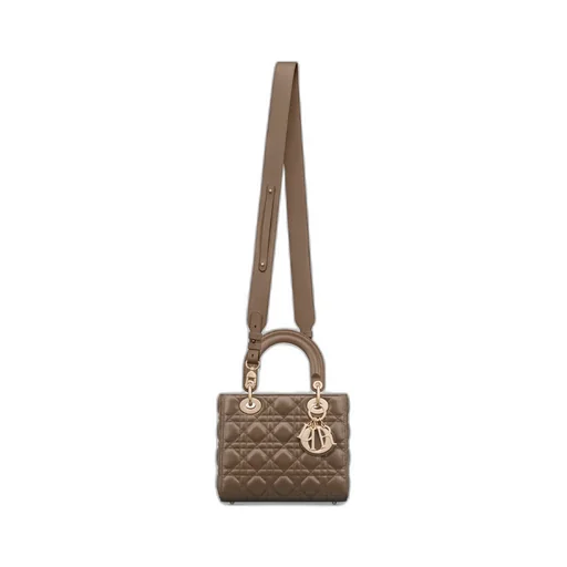 Small Lady Dior My Abcdior Bag