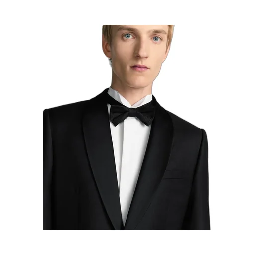 Dior Oblique Bow Tie