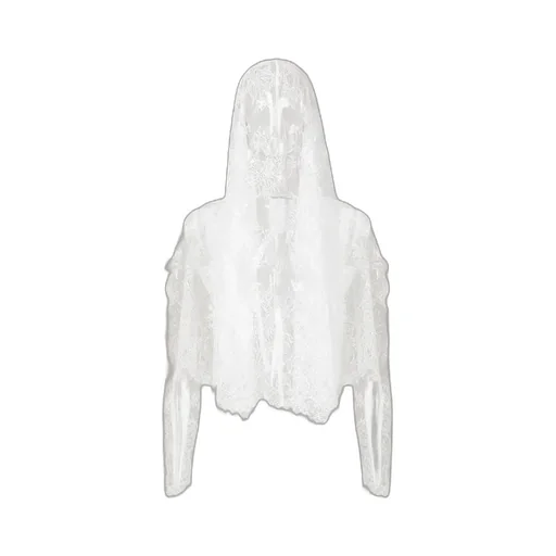 Lace Fishu Blouse
