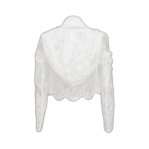 Lace Fishu Blouse