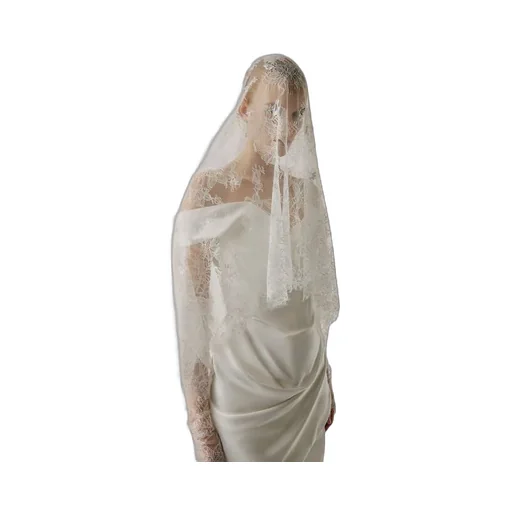 Lace Fishu Blouse