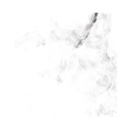 Printed Silk Twill Shirt With Bow