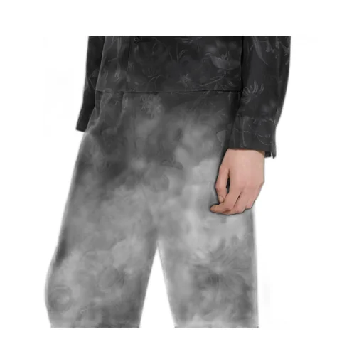 Printed Silk Twill Pants