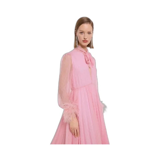 Printed Silk Chiffon Dress