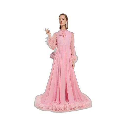 Printed Silk Chiffon Dress
