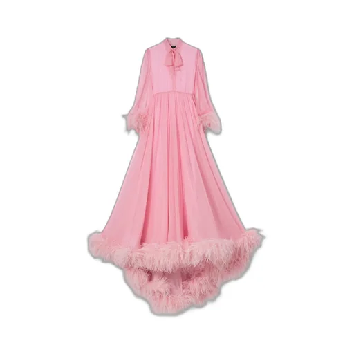 Printed Silk Chiffon Dress