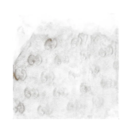 Printed Silk Twill Shirt