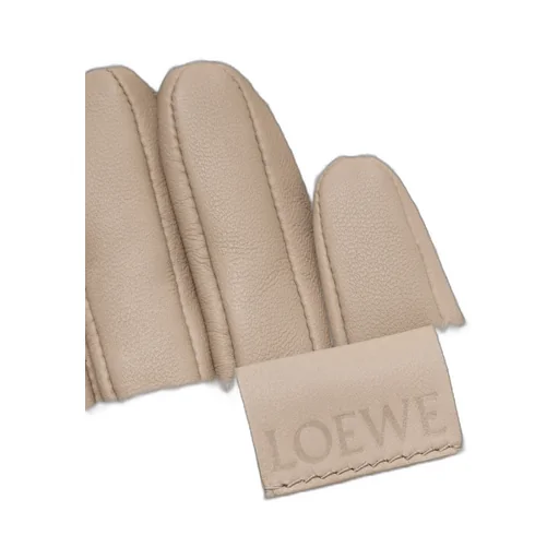 Gloves In Cashmere And Nappa Lamvskin