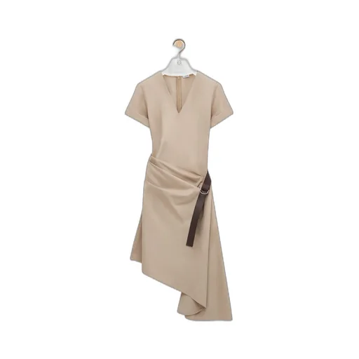 Belted Dress In Cotton And Silk