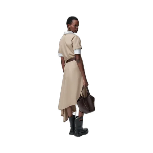 Belted Dress In Cotton And Silk
