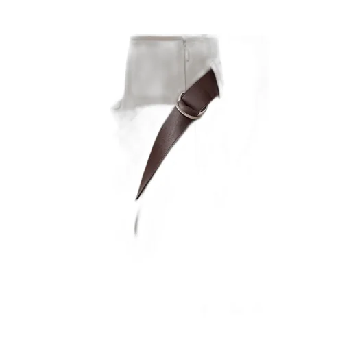 Belted Skirt In Cotton And Silk