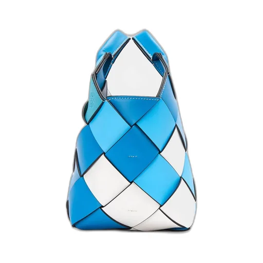 Small Surplus Leather Woven Basket Bag In Calfskin
