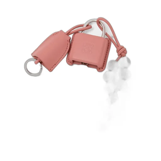 Amazona Padlock Charm