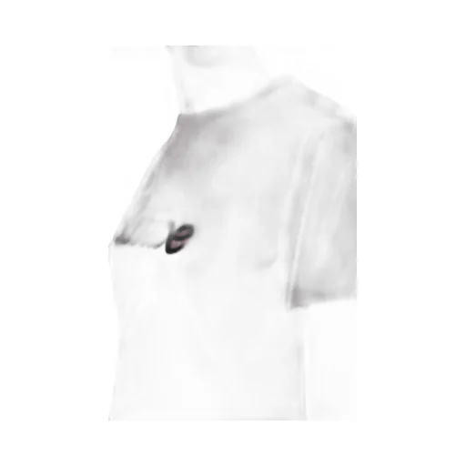 Relaxed Fit T-Shirt In Cotton