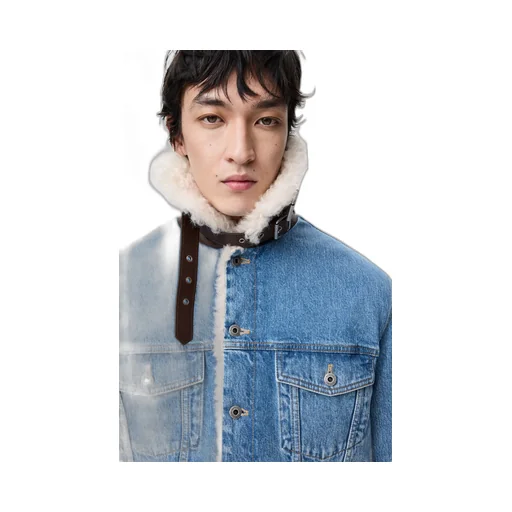 Trucker Jacket In Denim And Shearling