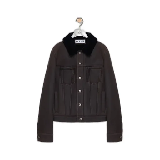 Trucker Jacket In Shearling