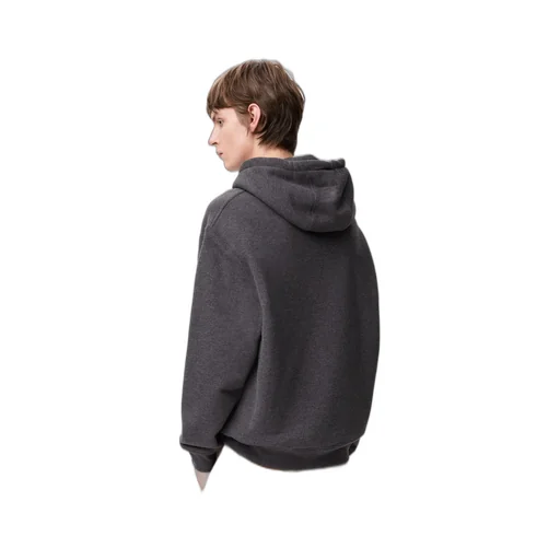 Hoodie In Cotton