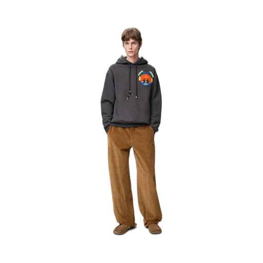 Hoodie In Cotton