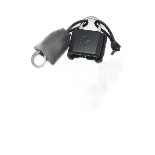 Amazona Padlock Charm