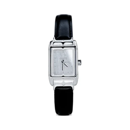 Silver Vault Watch