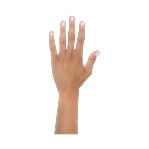 Nail Polish