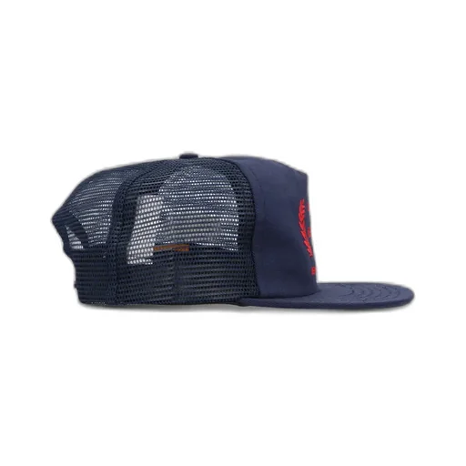 Festivus Cap